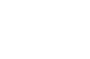 Segmedic